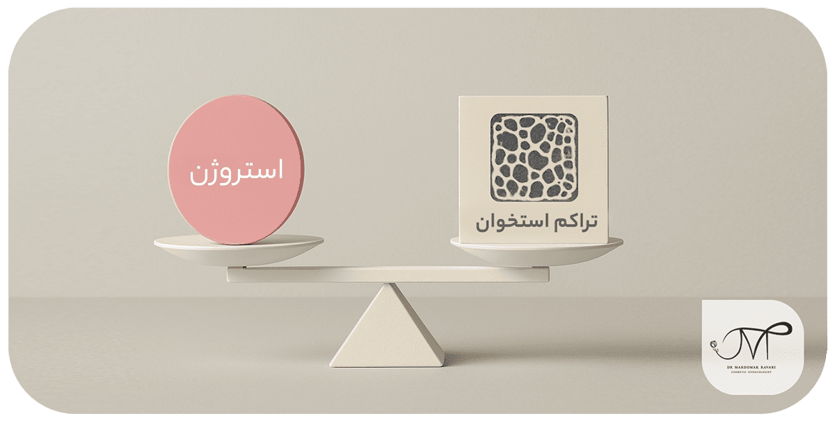 نقش استروژن در سلامت استخوان