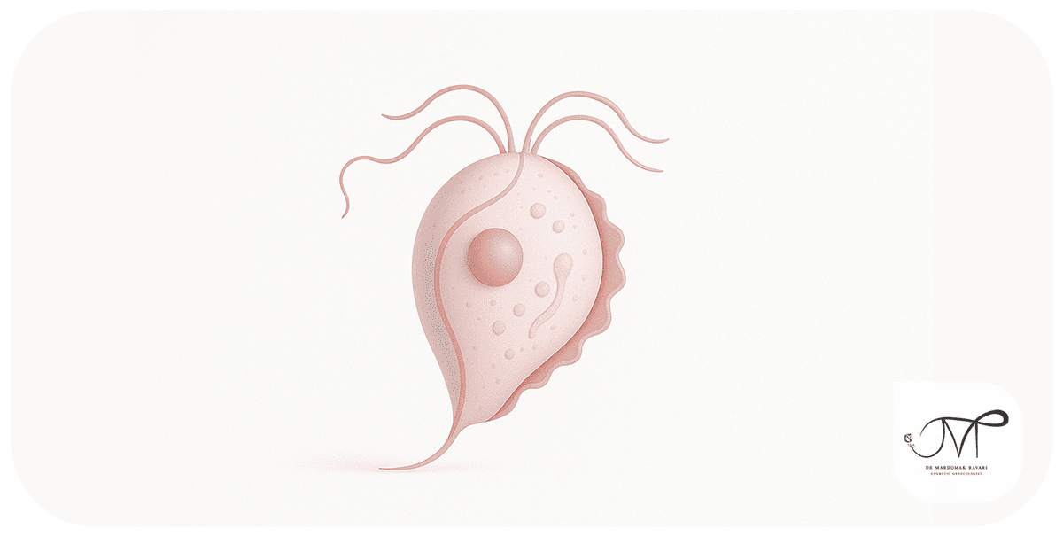 تصویر از انگل Trichomonas vaginalis