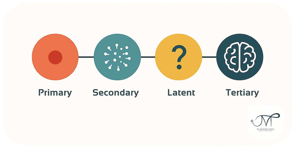 Stages of Syphilis 